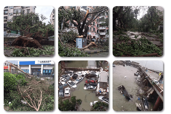 臺風(fēng)襲后 家裝維修義工行動進(jìn)行中