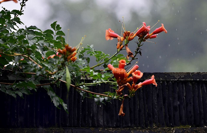 珠海梅雨季又來了，別急，有它！
